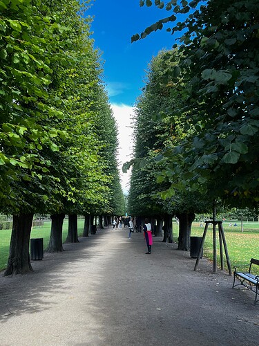 Part of The King's Garden