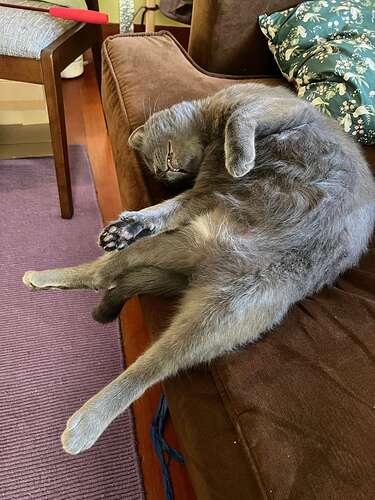 He's definitely more comfortable now.