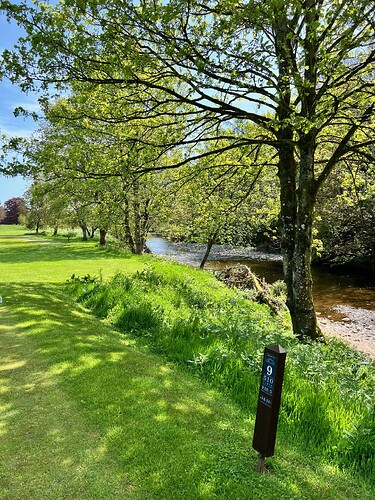The burn on 9. A beautiful hole.