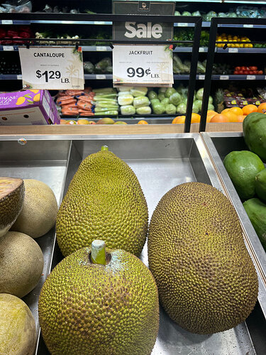 Jackfruit
