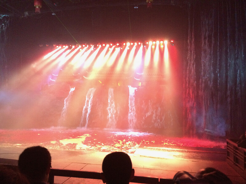 Yeah...they had a waterfall on the stage. Also a number of horses, platforms that rose50 ft in the air. It was nuts.