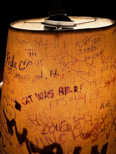 Yeah. I signed the lamp shade. What of it?