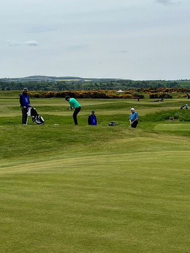 Mitch chips to the green.