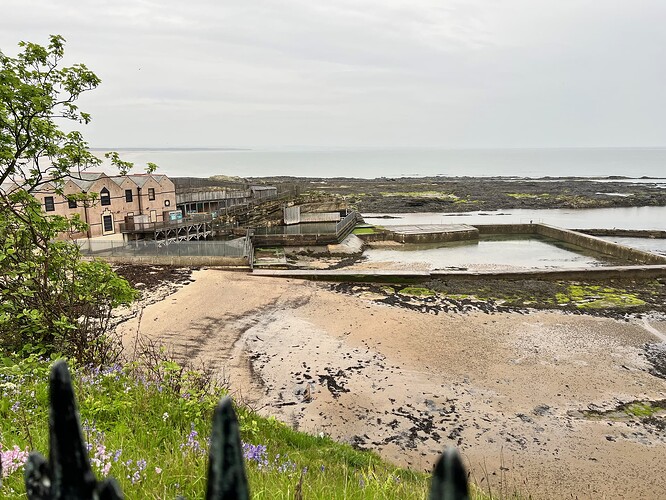 The aquarium. Hmmm....