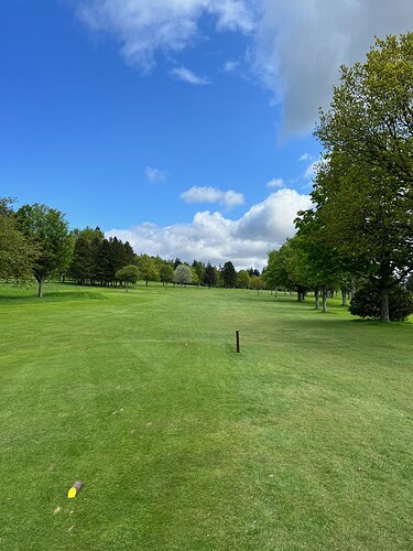Even with these trees, the course is very forgiving.