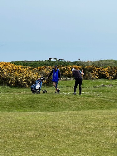 At least Keith isn't in the gorse.