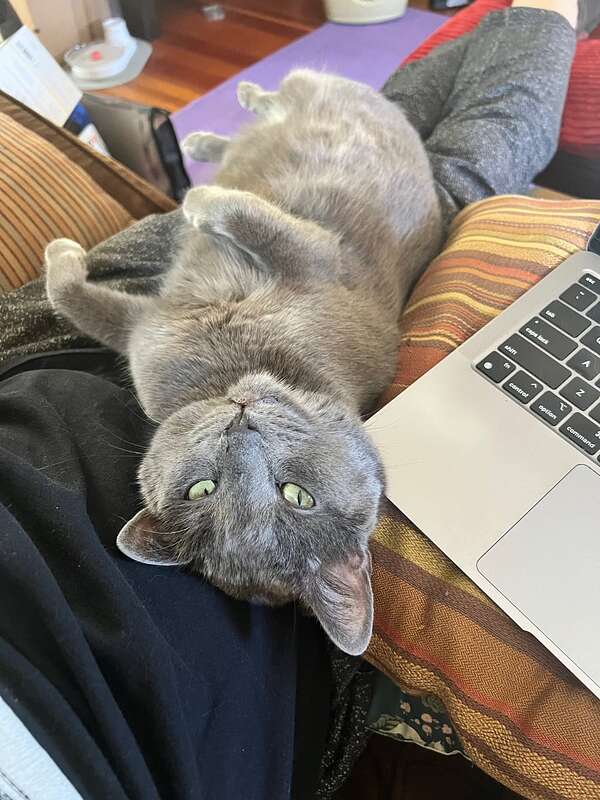 "You didn't really want to work, did you?"