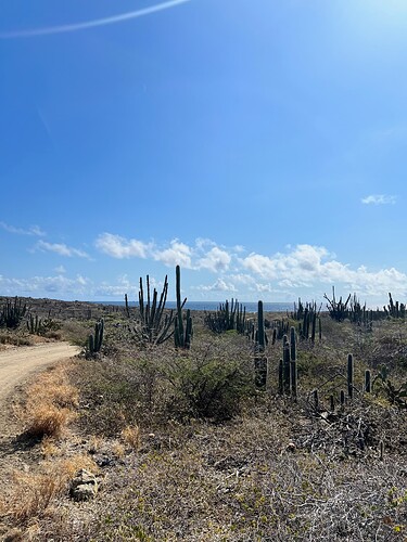 Taking a mountain bike tour. It was surprising to find that the island is so arid, much like SoCal.