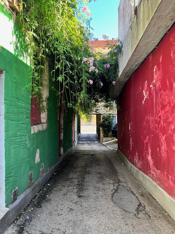 A beautiful little walkway