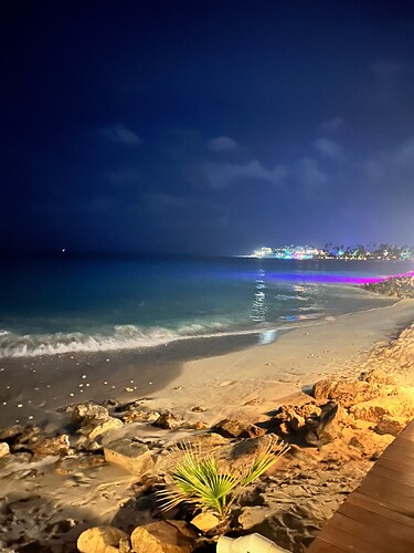 A beautiful view. Again. :palm_tree: