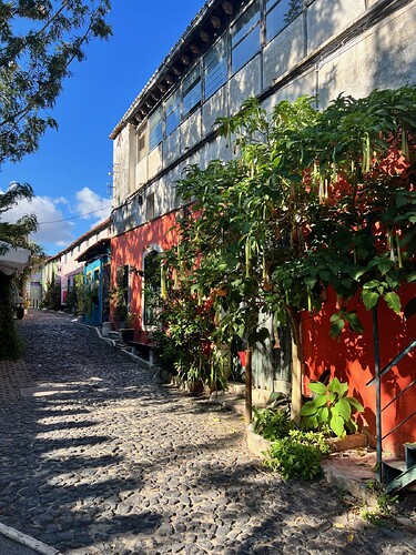 Walking to the baking class