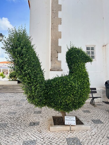 Some Edward Scissorhands work in Paderne