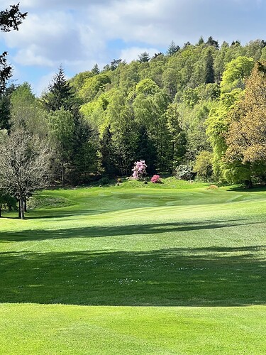 #14.  C'mon. A beautiful green.