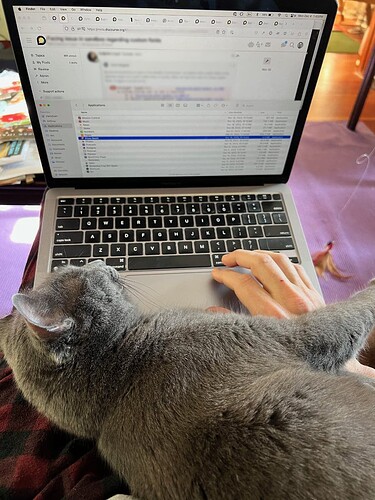 Not really helping me work.