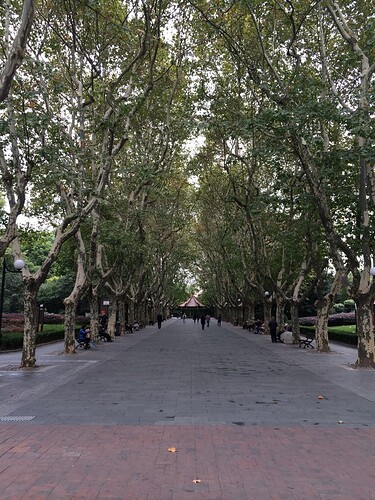 Beautiful parks were all over