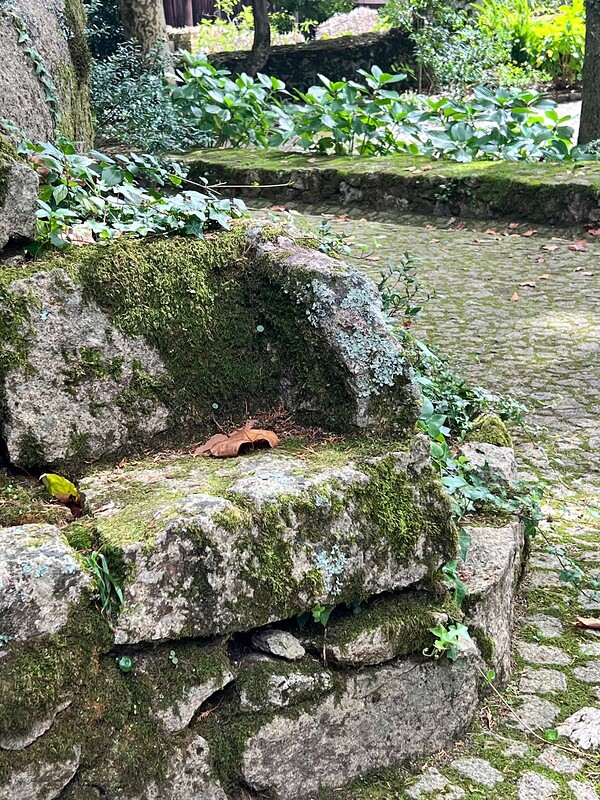 Castelo dos Mouros