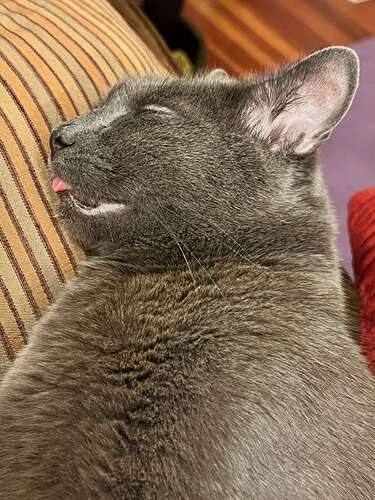 Big blepper.
