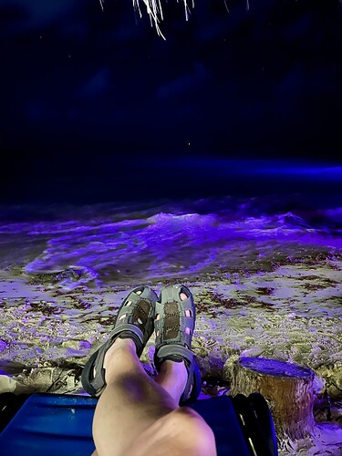 The nights here don't suck.