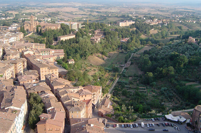 DSC00953