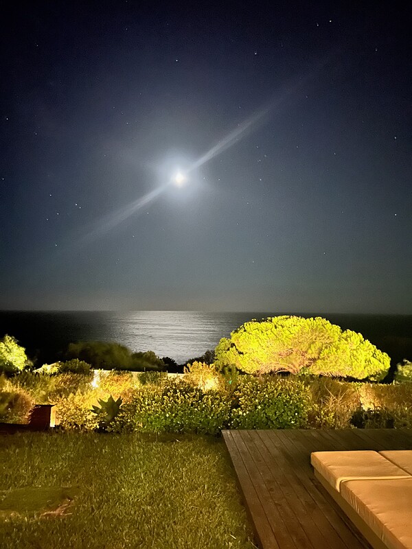 The first night