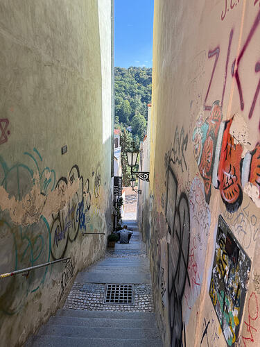 Part of the journey back up the hill has been conquered