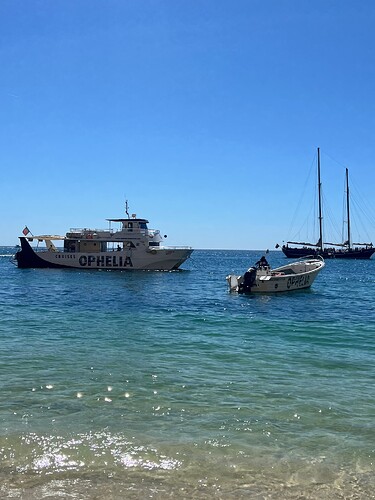 Looking over our transport for the day